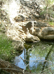 apache springs